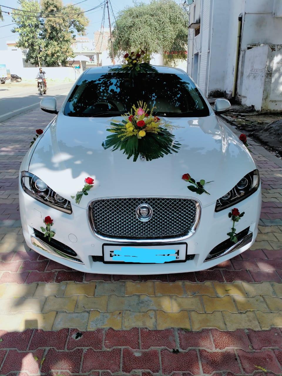 white jaguar from view decorated